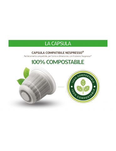 Foodness 10 capsule Nocciolino compostabili compatibili Nespresso